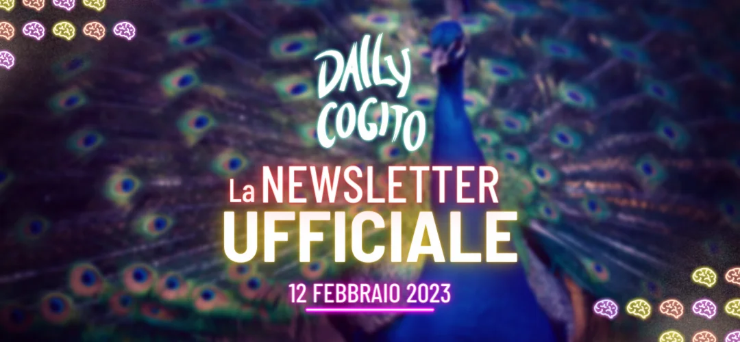 newsletter-ufficiale-daily-cogito-cogitare-non-e-flexare-rick-dufer